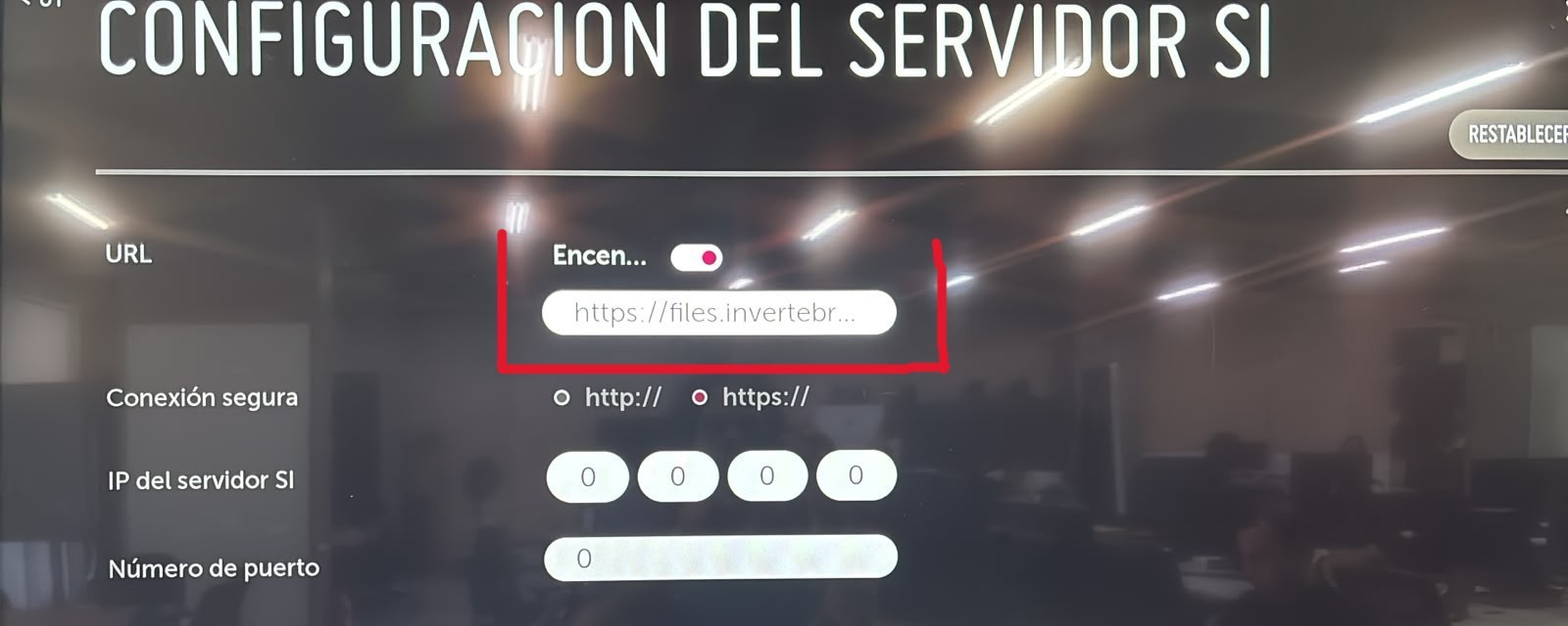 14.jpeg